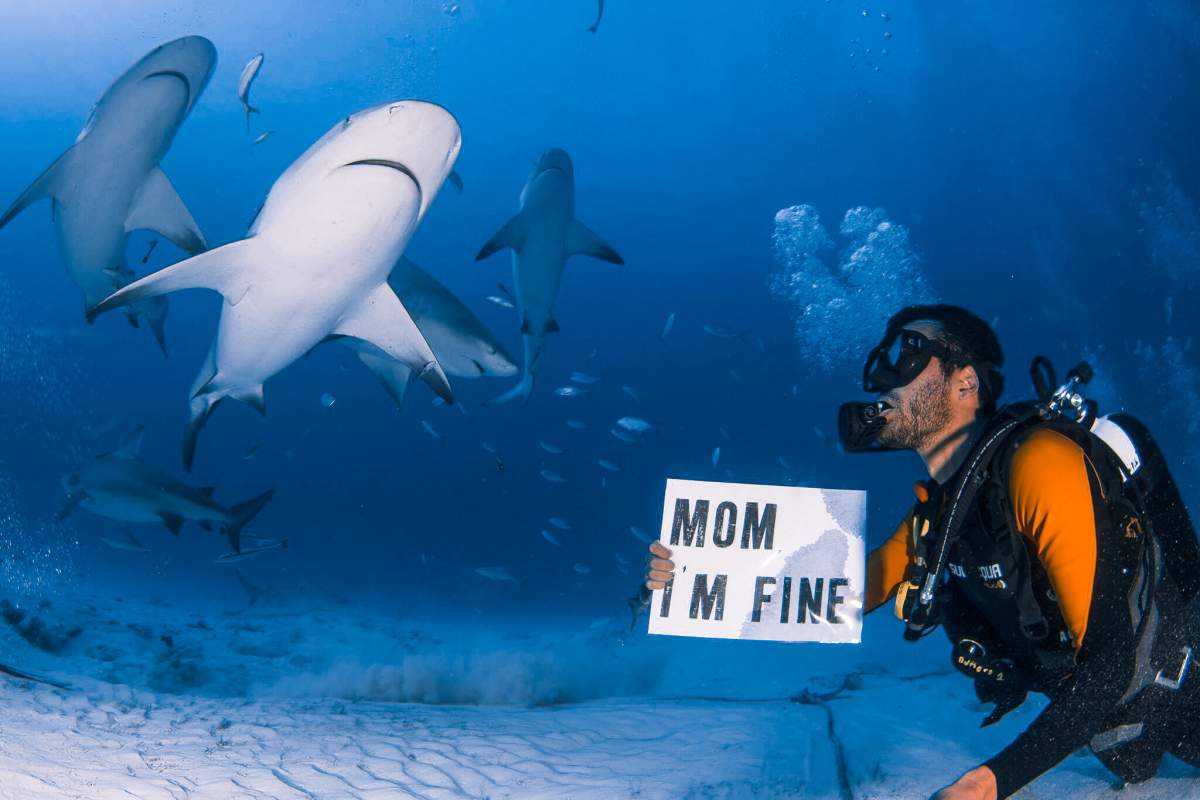 Jonathan Kubben diving with reef sharks.