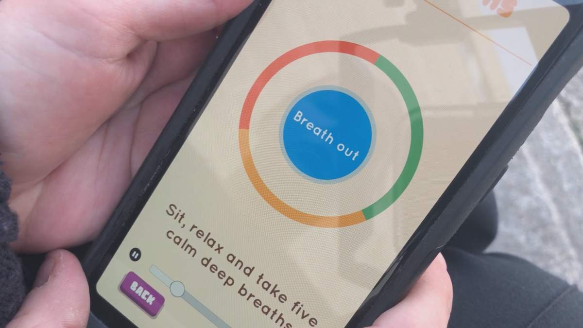 Shelley Steeves/Global News