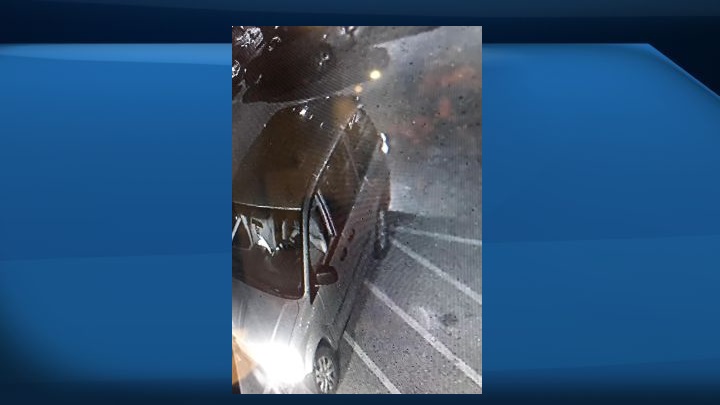 A photo of a vehicle suspected of being involved in a northeast Edmonton hit and run on Wednesday morning that left a woman with "life-altering" injuries.