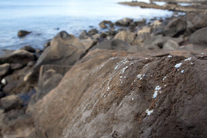 ‘Plasticrusts’ are see on the surface of rocks in Madeira island on June 21, 2019.