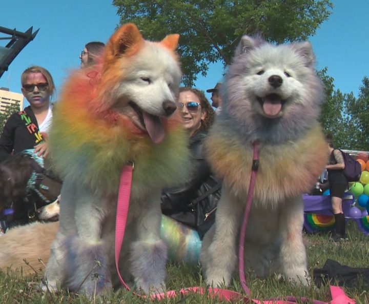 The Edmonton Pride March was held on June 8, 2019.