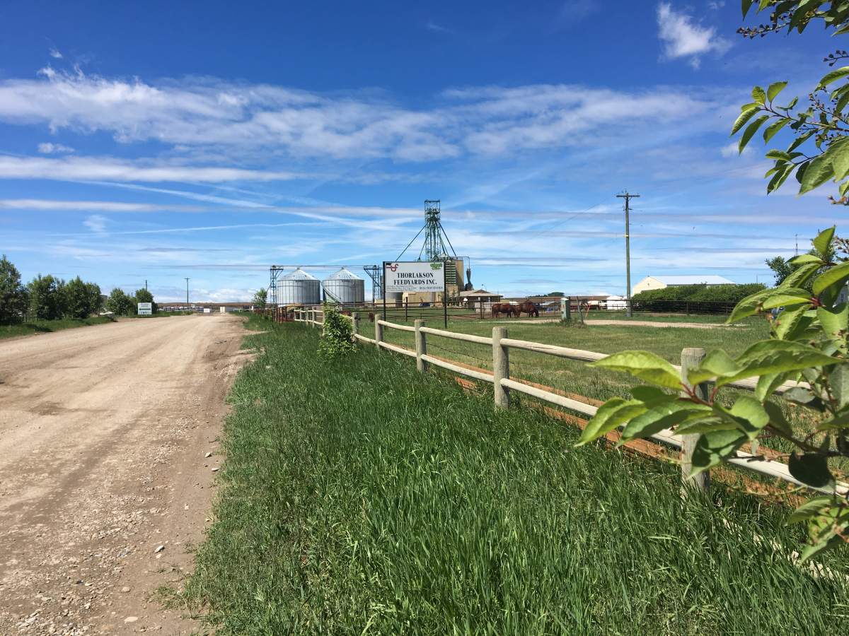 Thorlakson Feedyards