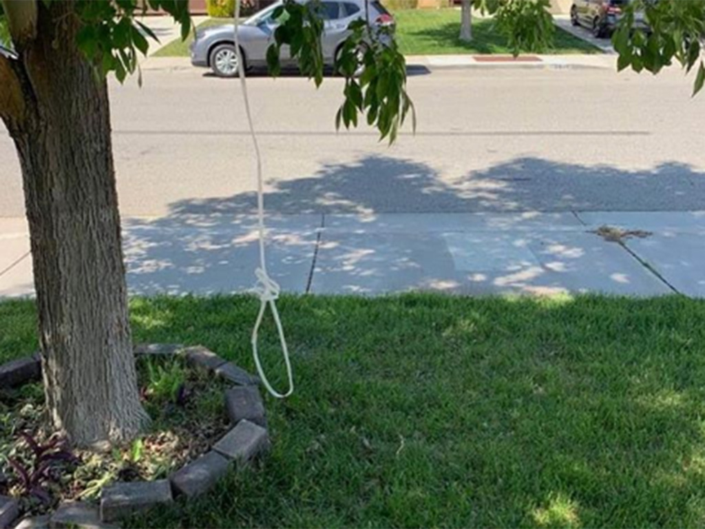 An image of a noose hanging from a tree fashioned out of a plastic tie wrap shared by Rainn Wilson to Instagram on June 4, 2019.