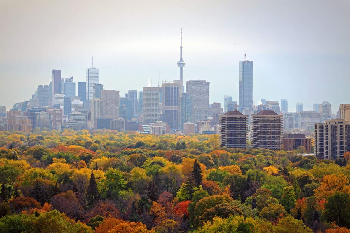 Toronto cityscape with autumn trees in the foreground, October 2011.