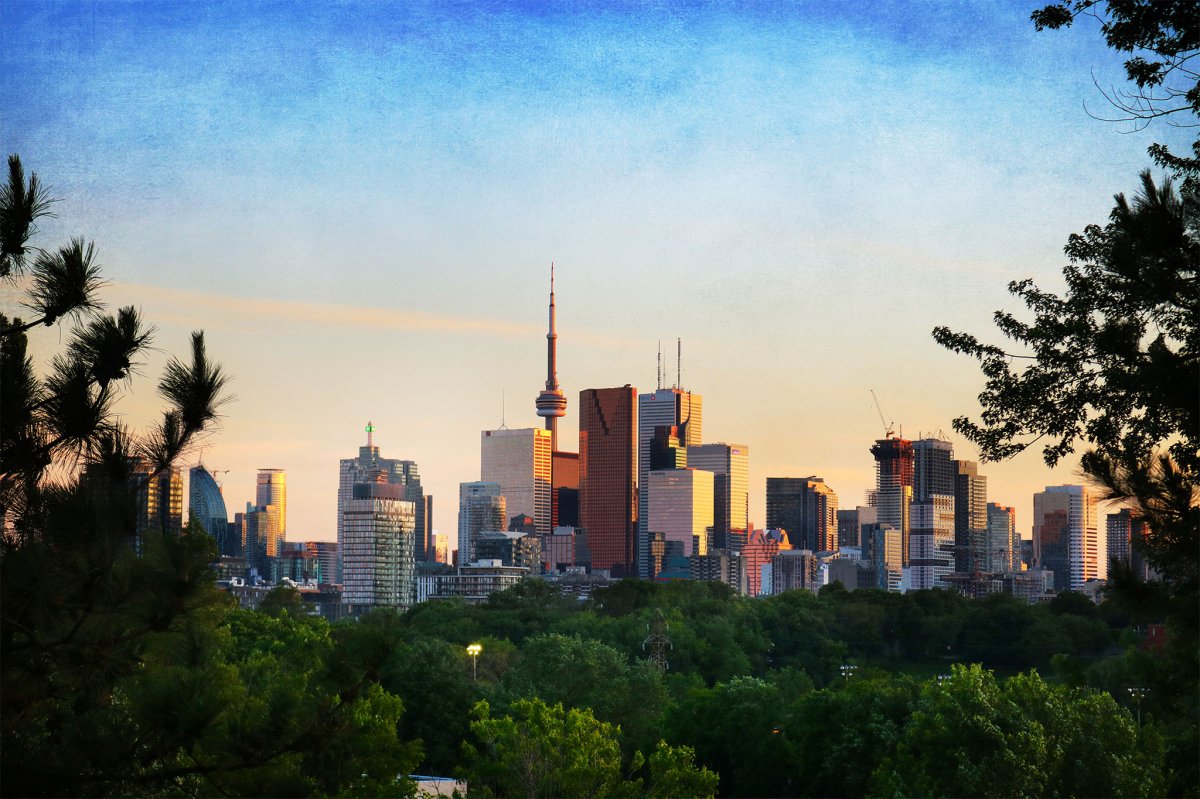 Toronto skyline from Riverdale Park.