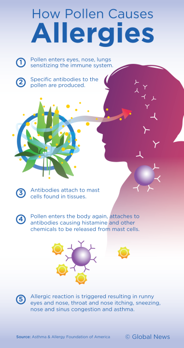 Blame ‘sexism’ and climate change for making your asthma and allergies ...