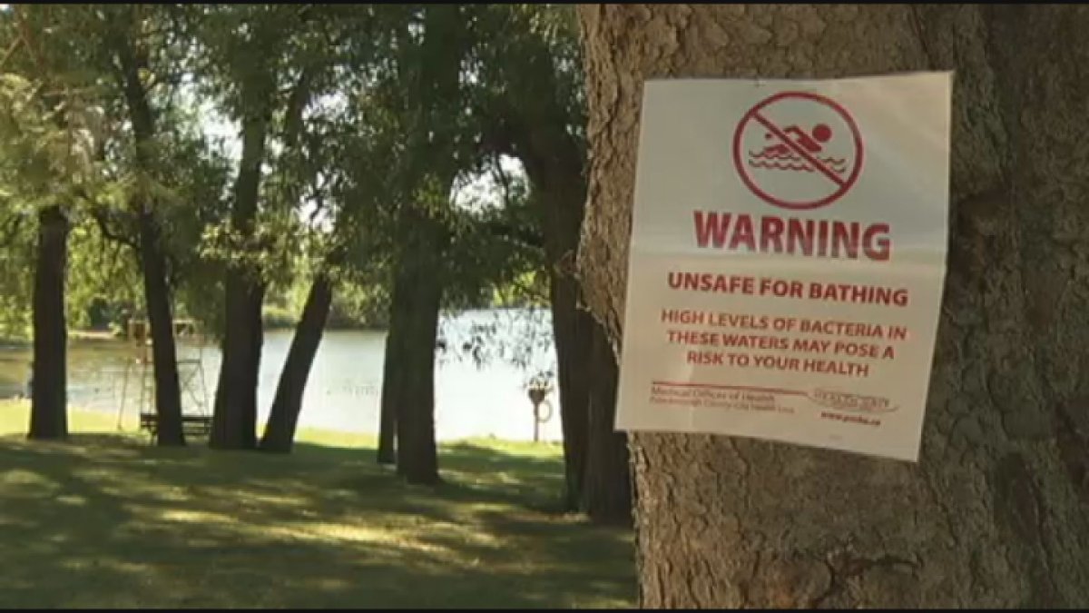 Rogers Cove in Peterborough has been deemed unsafe for swimming due to elevated levels of E.coli bacteria in Little Lake.