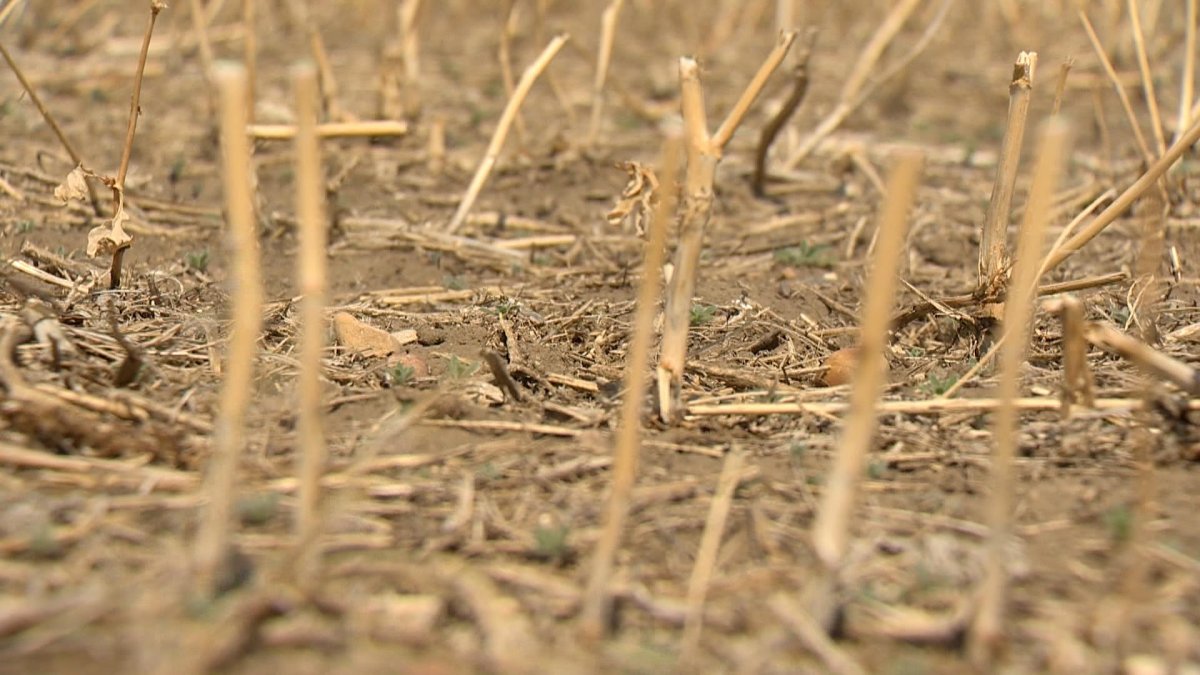 Saskatchewan Agriculture says field conditions continue to deteriorate across the province due to the lack of moisture and strong winds.