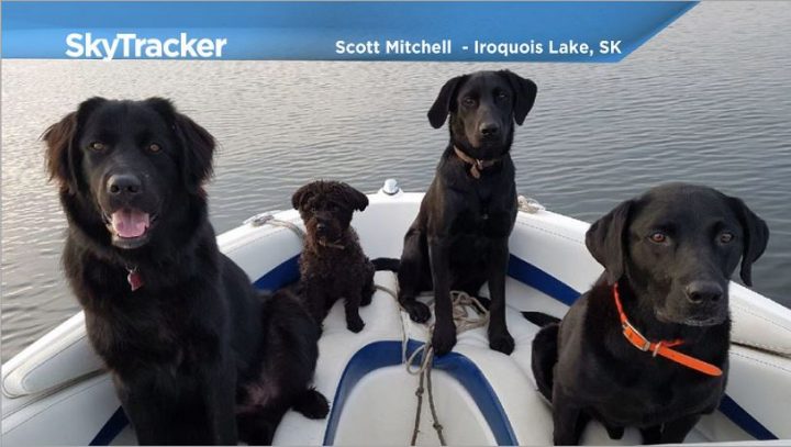 Scott Mitchell took the June 7 Your Saskatchewan photo in Iroquois Lake.