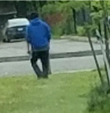 Niagara Police have released a photo of suspect in an alleged sexual assault in St. Catharines. 