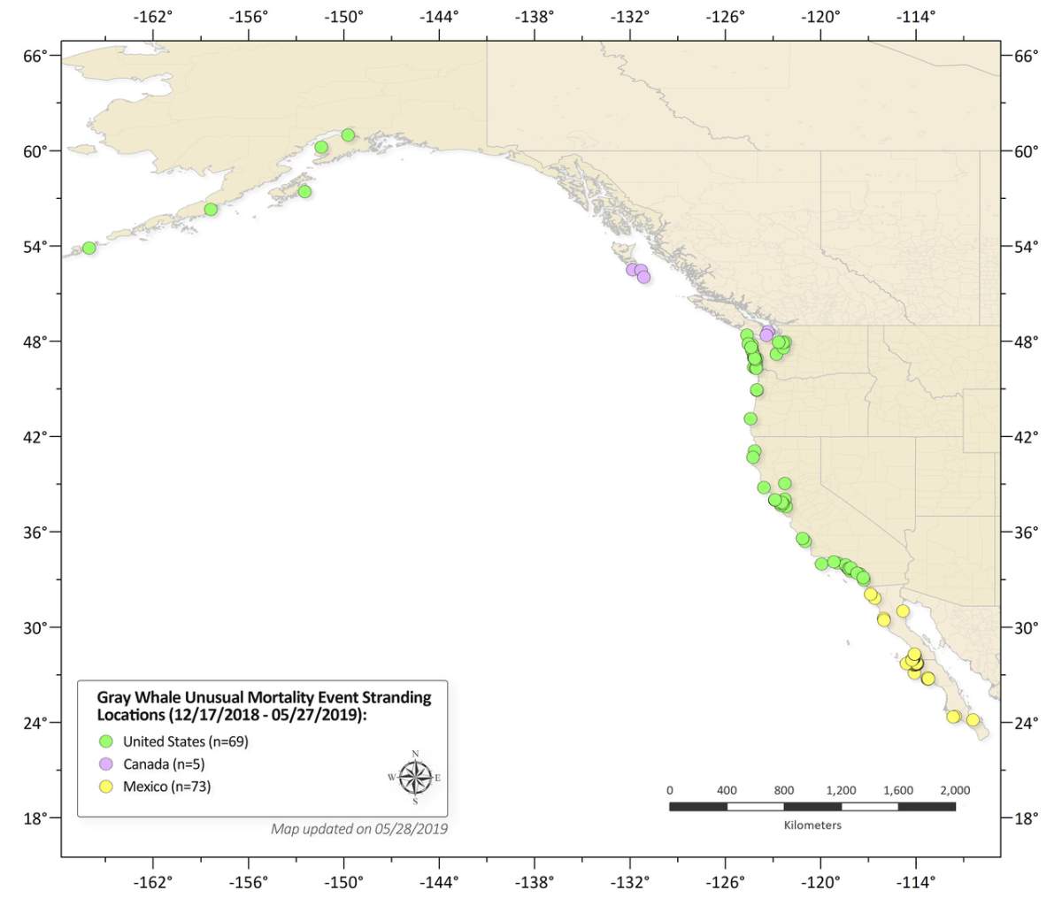 Grey whale strandings between Dec. 17, 2018 and May 27, 2019.