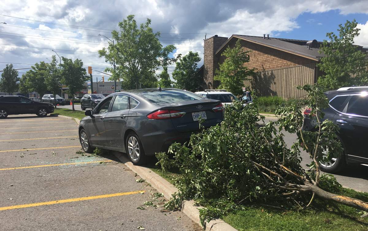 Peterborough police iniatitied a high-risk takedown on High Street near Lansdowne Place Mall on Friday.