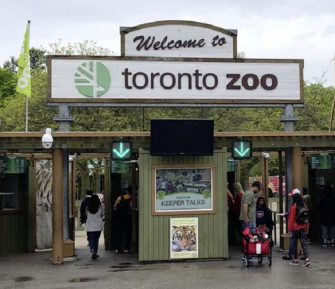 Video zoo i in Toronto sex Zoo Sex