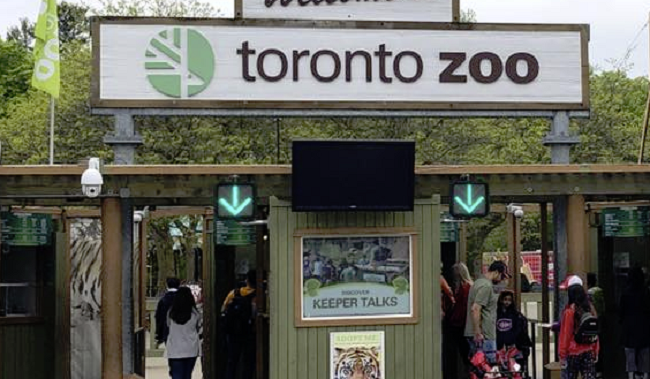 Toronto Zoo closes temporarily to protect animals, ensure staffing amid Omicron wave
