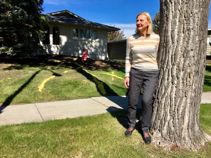 Calgary woman battles city hall to get a problem poplar cut down