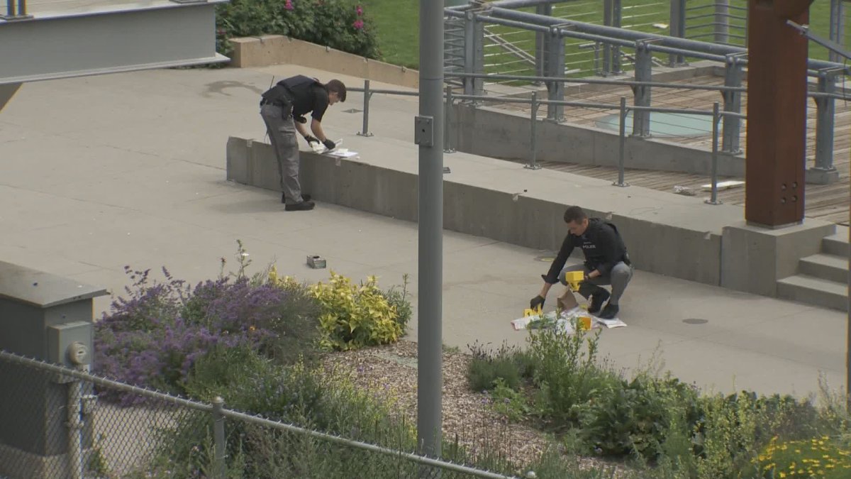 Police investigate a fight in New Westminster's Pier Park  that left one person in hospital. 