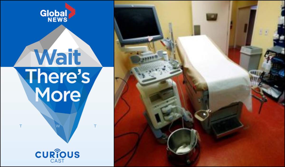 Tamara Khandaker speaks with Diana McNally, who got pregnant as a teenager and wanted to get an abortion. But the day she was supposed to get it, she walked through the wrong door and into a pregnancy crisis center instead — something that had a life-changing impact for her. 
