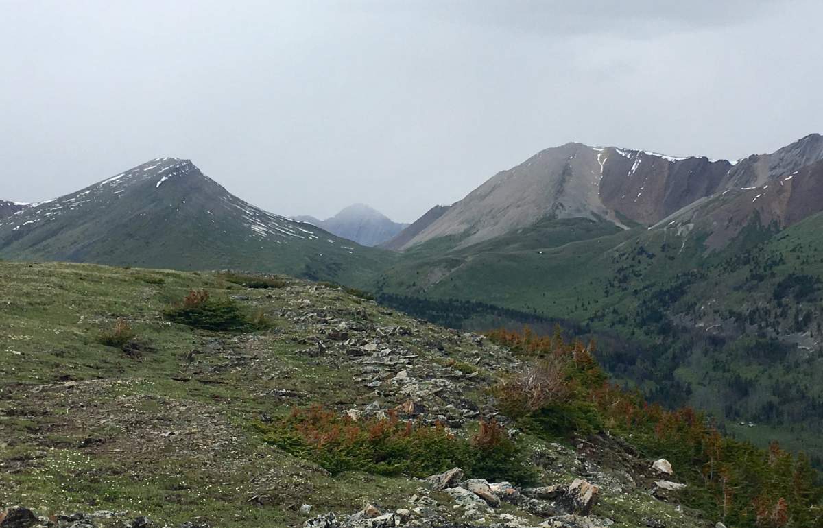 Divide Pass in Banff National Park is shown on July 3, 2019. A group of women hiking in the backcountry saw 33 of the 36 bison in the herd in this area.