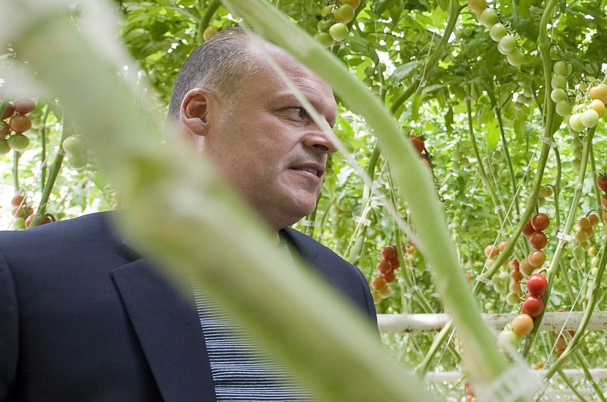 Biologico organic tomato greenhouse owner Stephane Roy is seen in Saint-Sophie, Que., on August 16, 2012. The search for a missing Quebec businessman and his teen son who haven't been heard from in a week continued today as search and rescue teams focused on a narrowed search area. 