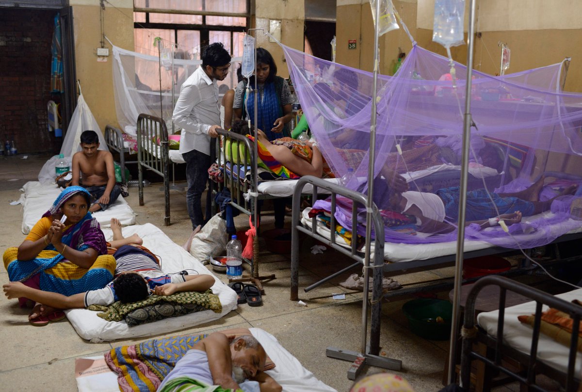 Patients receive treatment for dengue at Shaheed Suhrawardy Medical College and Hospital in Dhaka, Bangladesh, Wednesday, July 31, 2019. 