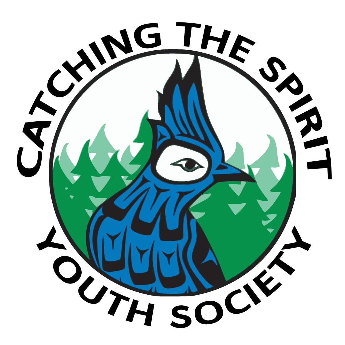 Catching The Spirit Youth Society - image