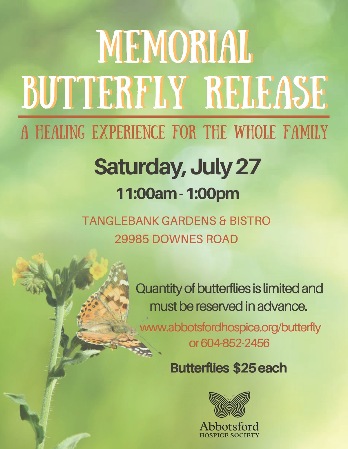 Memorial Butterfly Release - image