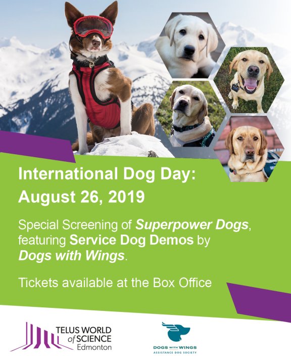 International Dog Day Special Event GlobalNews Events