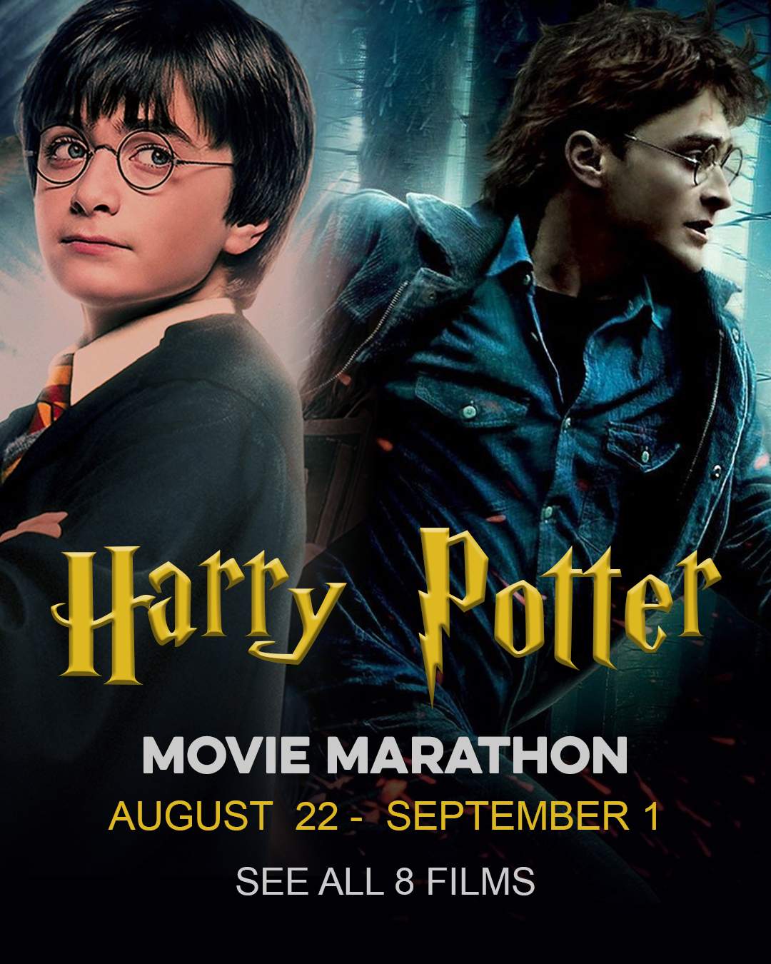 Harry Potter Movie Marathon - image