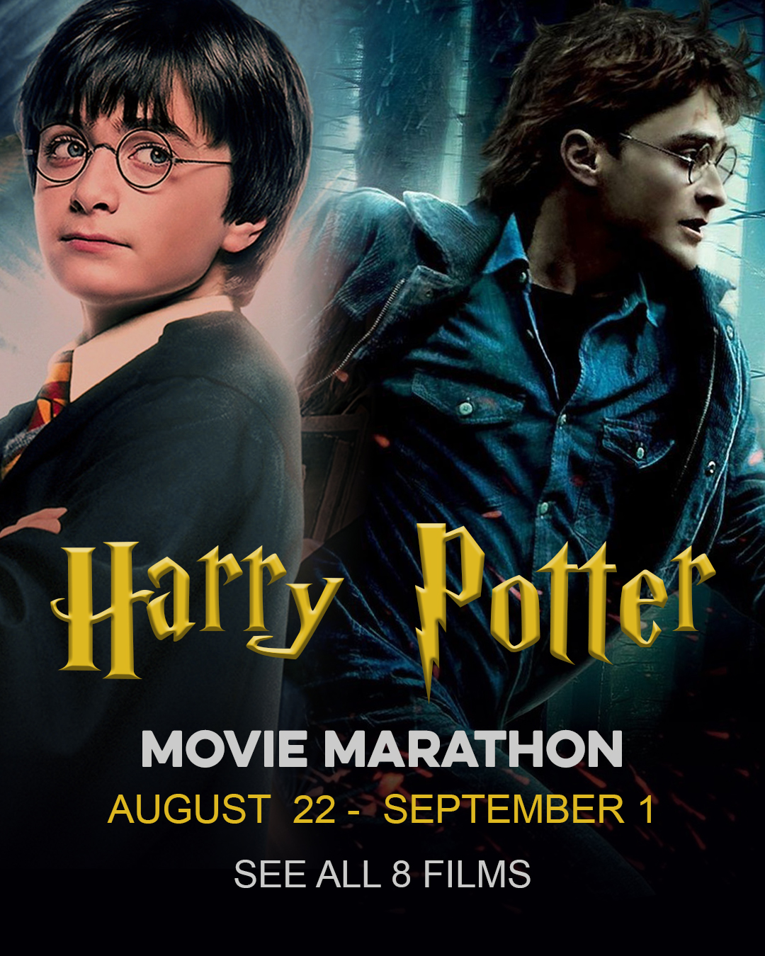 Harry Potter Movie Marathon GlobalNews Events