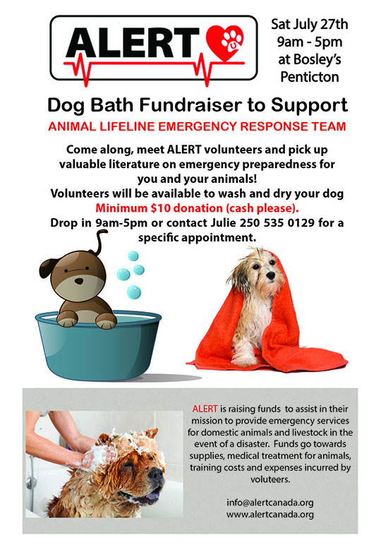 Dog wash fundraiser in aid of ALERT - image