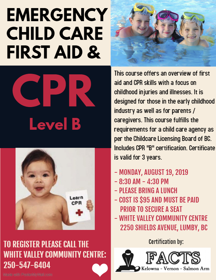 Emergency Child Care First Aid & CPR Level B - GlobalNews Events