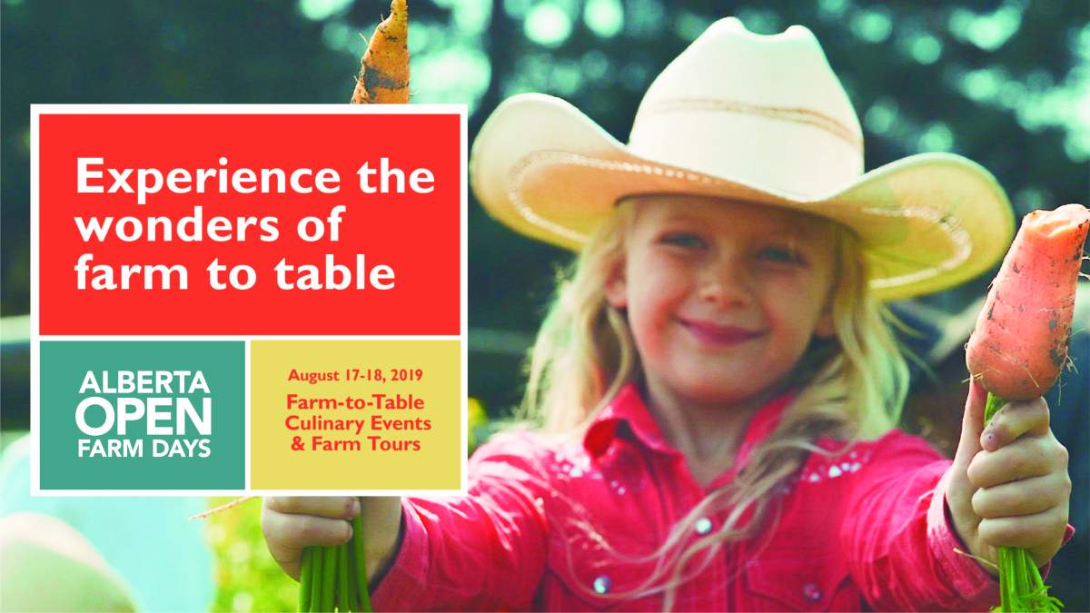 Alberta Open Farm Days - image