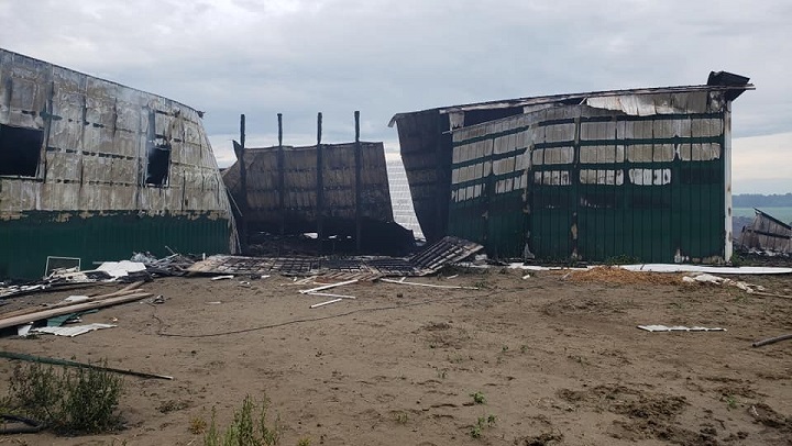 Delta Dairy in Paynton, Sask., lost its barn in a Tuesday night fire, killing six calves. 