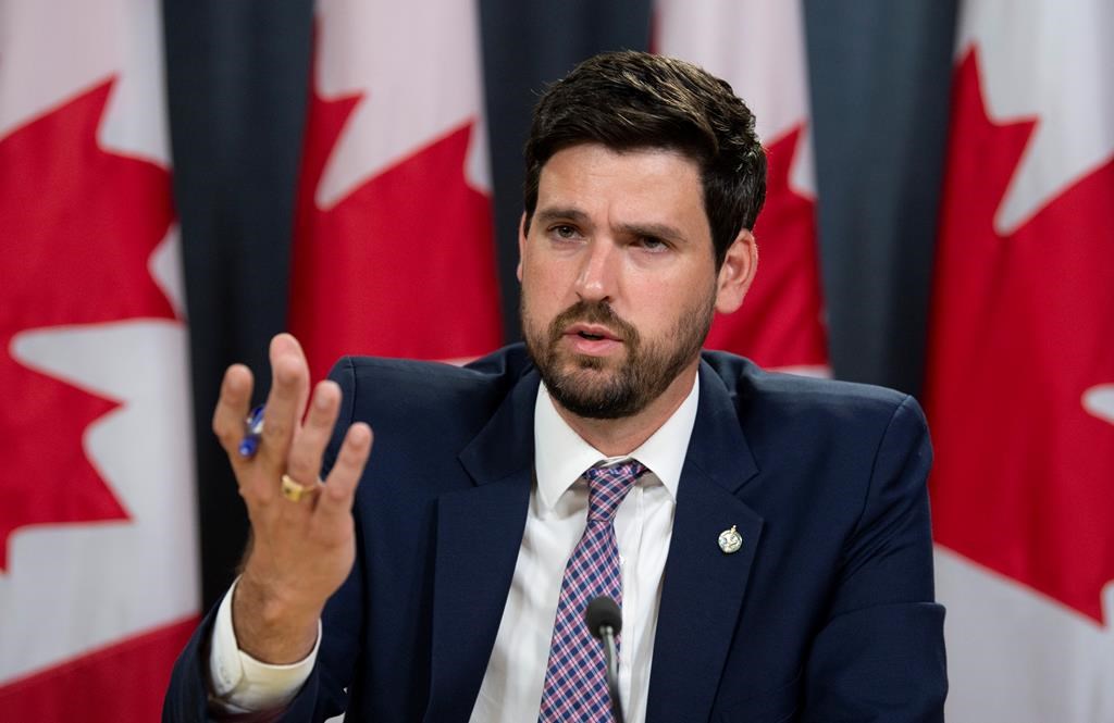 Parliamentary Secretary to the Minister of Environment and Climate Change Sean Fraser speaks during a news conference in Ottawa, Tuesday, July 9, 2019. Sean Fraser says it's premature for the Liberal government to say how a promised new clean fuel standard will affect gasoline prices, as consultations on how the policy will be implemented are still underway.  THE CANADIAN PRESS/Adrian Wyld.