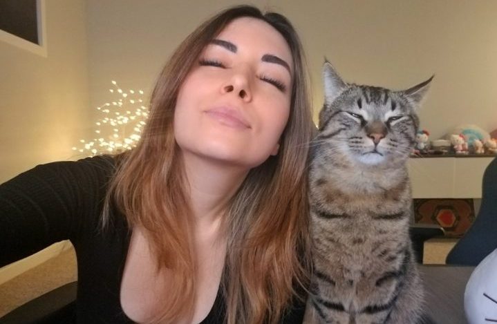 The Saskatoon SPCA investigated complaints of a woman throwing a cat on Twitch, a platform for live-streaming video games.