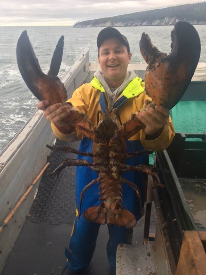 N.B. baby rides ‘rare’ gigantic lobster on lucky Canada Day catch - image