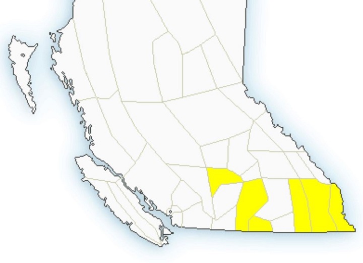 Environment Canada’s severe thunderstorm watch for Saturday includes the South Thompson, Okanagan and Boundary regions plus the East Kootenays.
