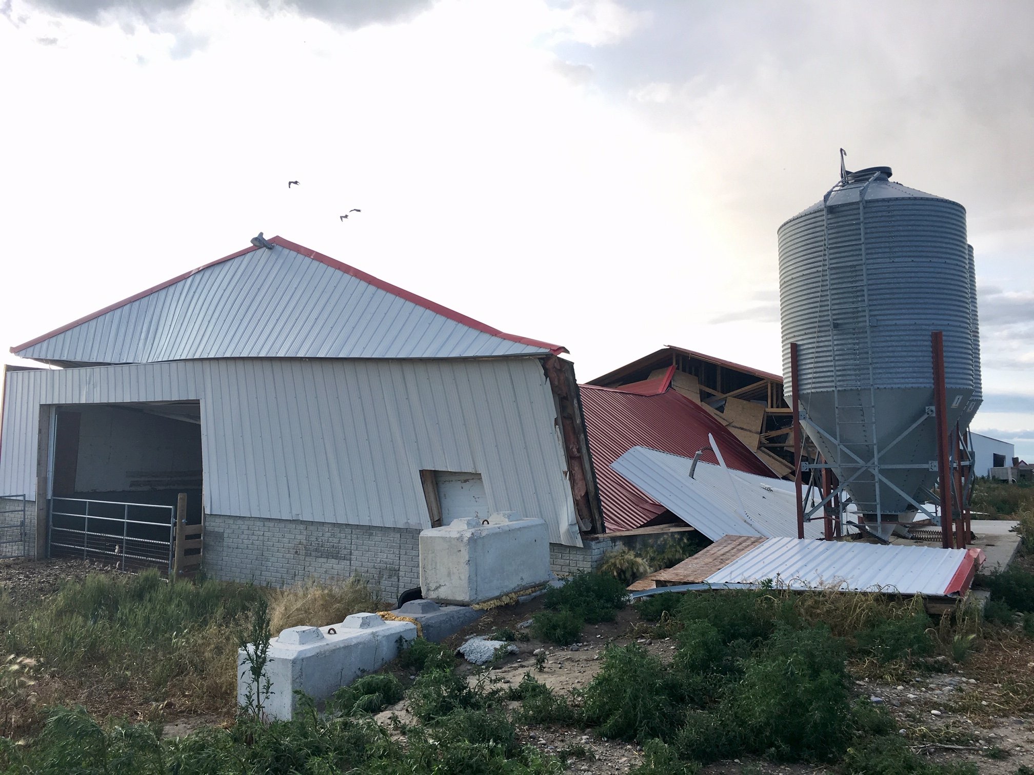Farmer Sees Barn Destroyed As Tornado Touches Down In Southern Alberta Globalnews Ca