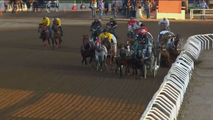 Chuckwagon driver fined disqualified after 3rd horse death at