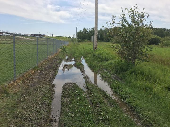 Cold Lake residents shaken after B.C. murder suspects spotted in Alberta town - image