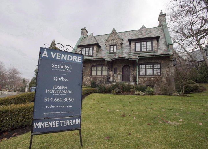 Royal LePage News, Videos & Articles