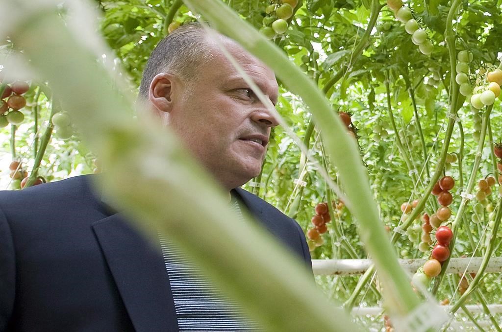 Biologico organic tomato greenhouse owner Stephane Roy is seen in Saint-Sophie, Que., on August 16, 2012.