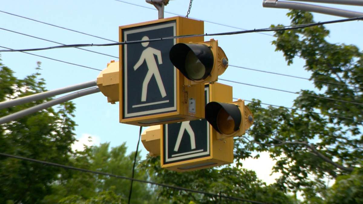 Police say there were a total of 175 pedestrians hit in 168 pedestrian-vehicle collisions in Halifax in 2019.