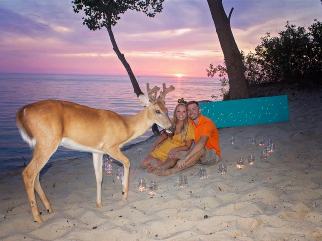 A deer made a surprise entrance during Jakob Lee and Colbie Wakeley's engagement photo shoot.