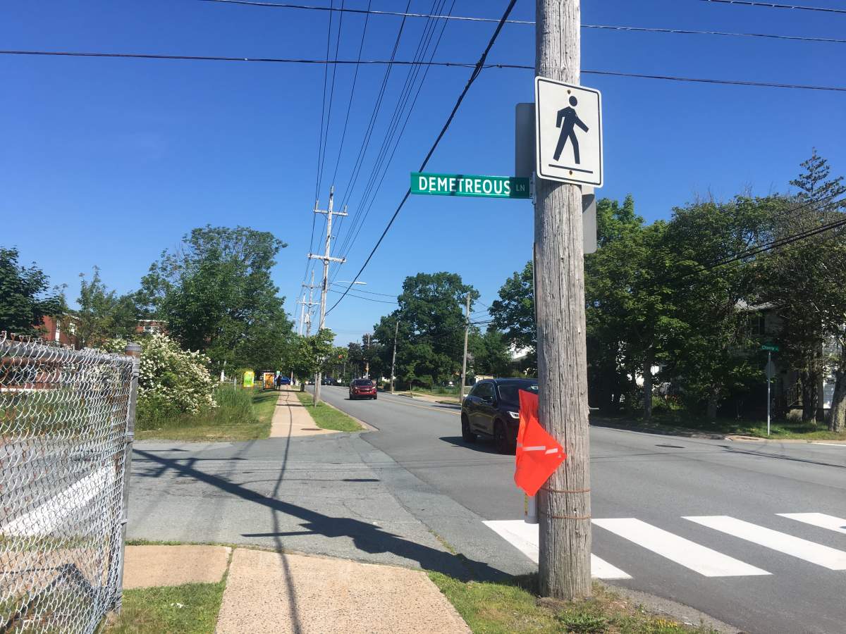 Police are investigating an alleged robbery in the area of Victoria Road and Demetrious Lane in Dartmouth on July 19, 2019. 