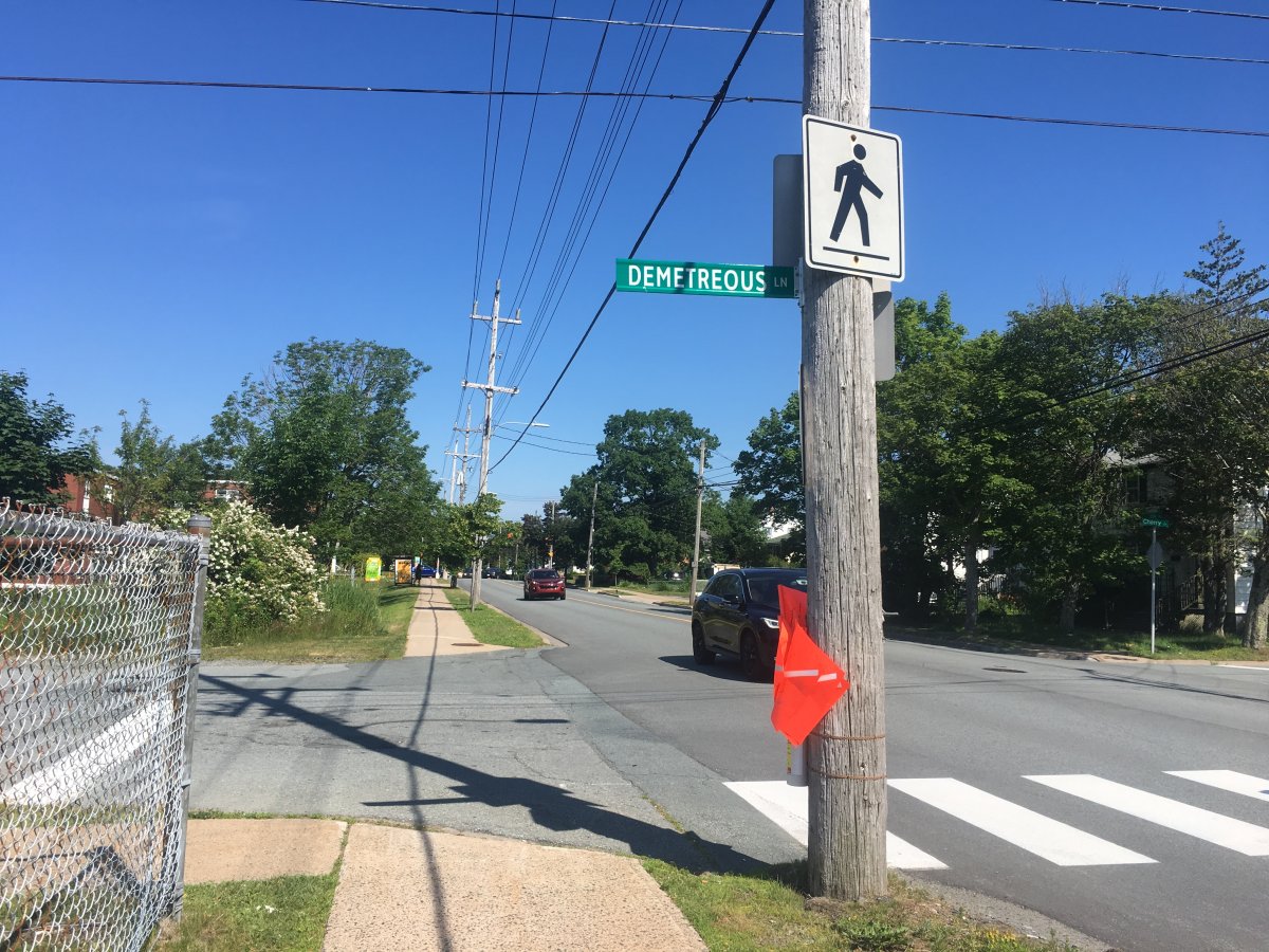 Police are investigating an alleged robbery in the area of Victoria Road and Demetrious Lane in Dartmouth on July 19, 2019. 