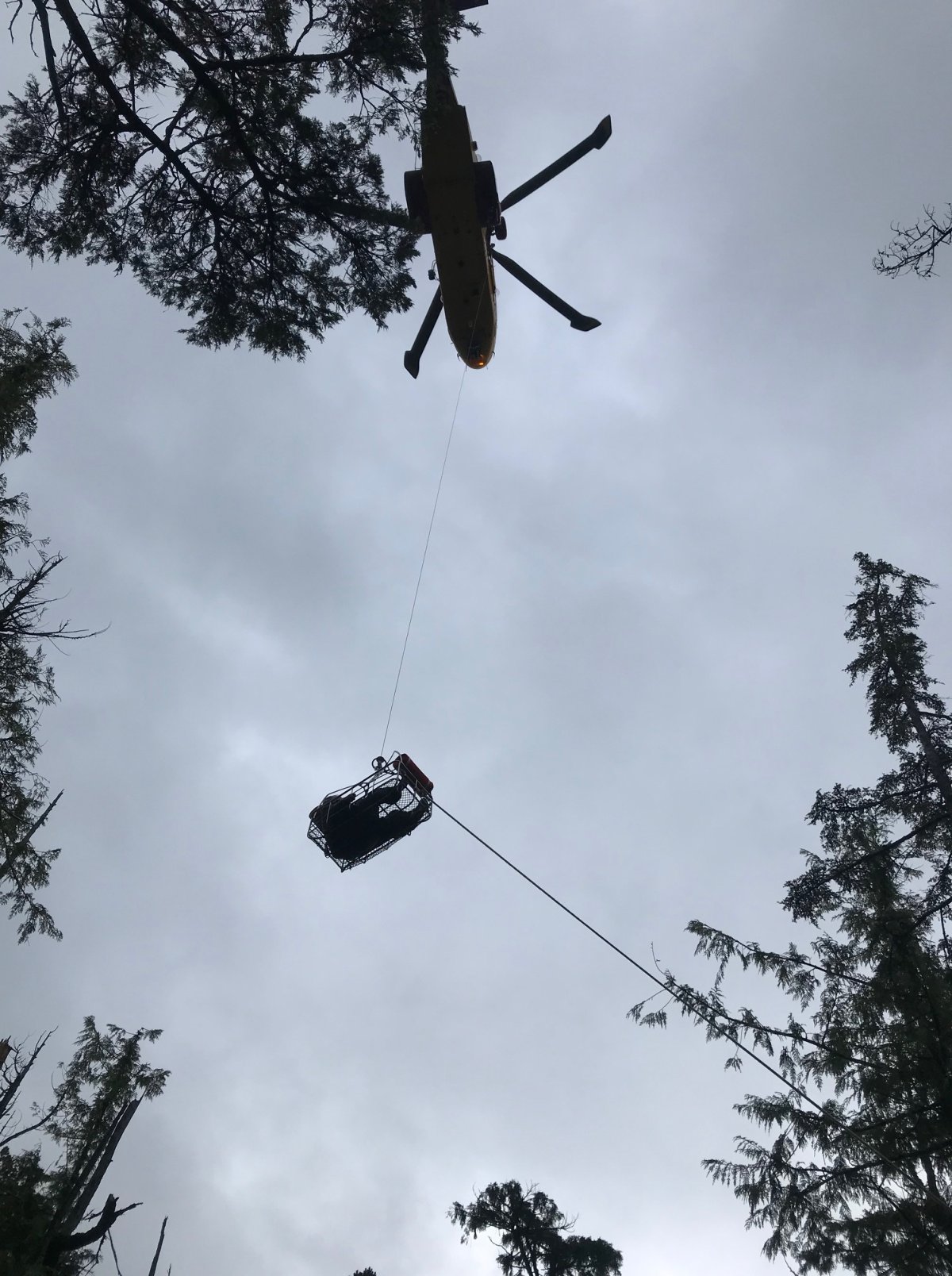 Investigators travel to site of fatal B.C. float plane crash as