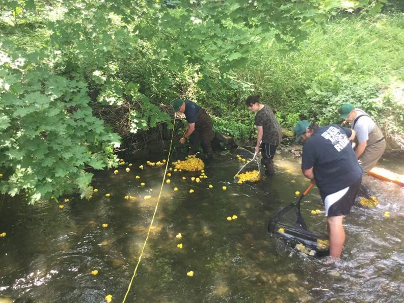 Courtesy: Vernon Lions Club