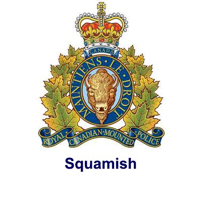 Squamish RCMP arrest suspect in Sunday stabbing - image