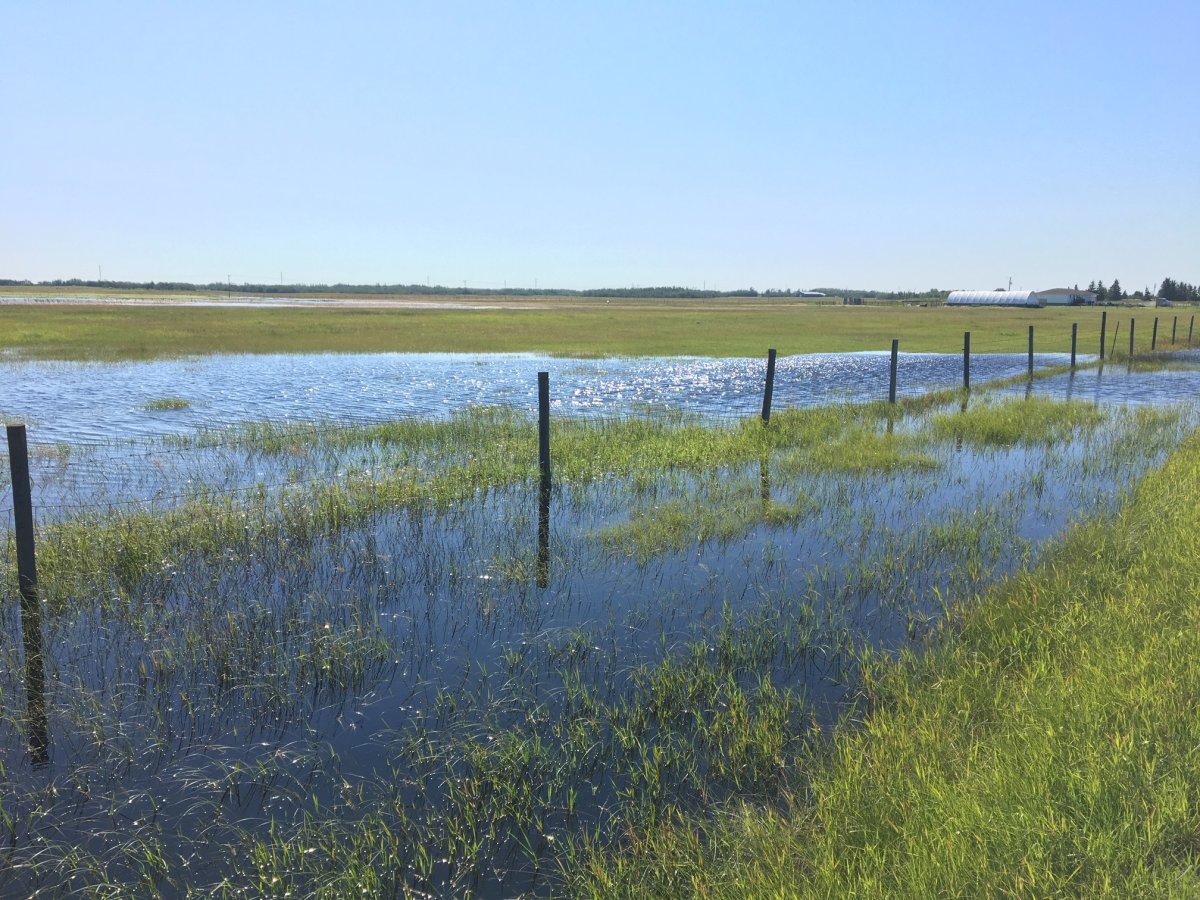 A flooded field in Leduc County, Alta. on July 22, 2019.